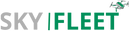 Skyfleet